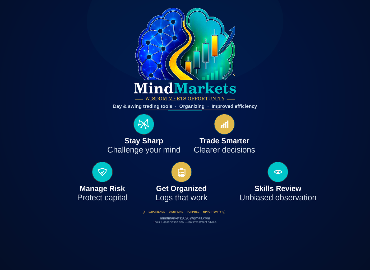 MindMarkets brand board — Wisdom Meets Opportunity and five pillars